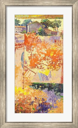 Framed Colore dei Campi III Print