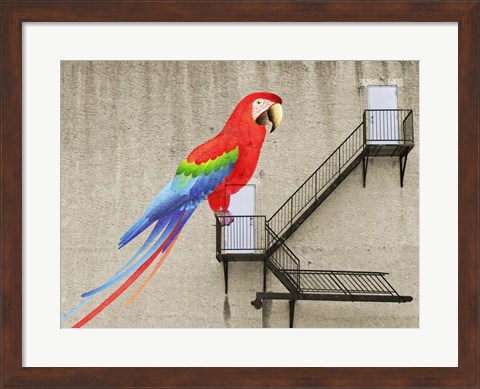 Framed Escape from your cage Print