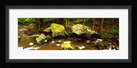 Framed Stream flowing through a Forest, Great Smoky Mountains National Park, Tennessee Print