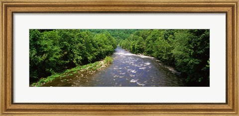 Framed River Passing through a Forest, Pigeon River, Cherokee National Forest, Tennessee Print