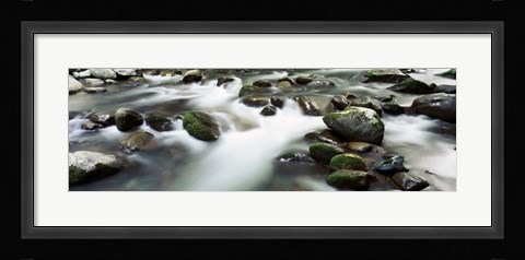 Framed Rocks in Little Pigeon River, Great Smoky Mountains National Park, Tennessee Print