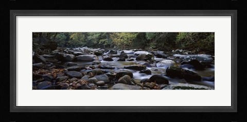 Framed Rocks in a River, Great Smoky Mountains National Park, Tennessee Print