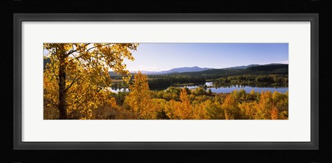 Framed Trees in Autumn, Grand Teton National Park, Wyoming Print