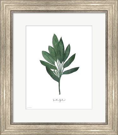 Framed Sage Botanical Print