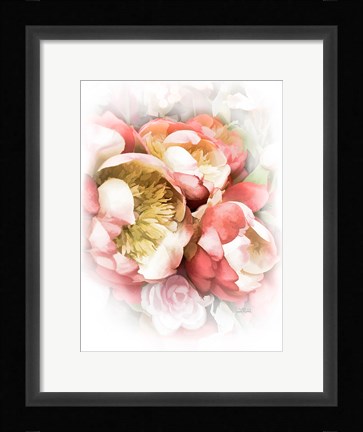 Framed Peach Peony II Print