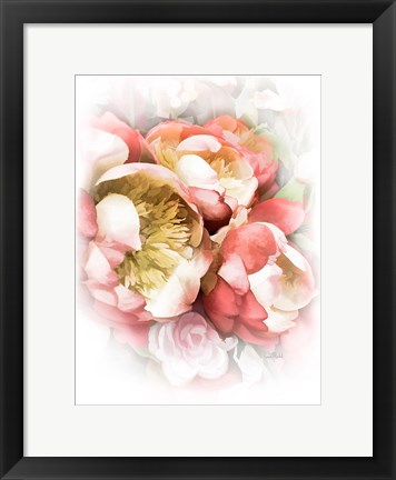 Framed Peach Peony II Print