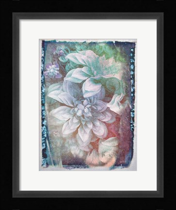 Framed Midnight Mystery Print