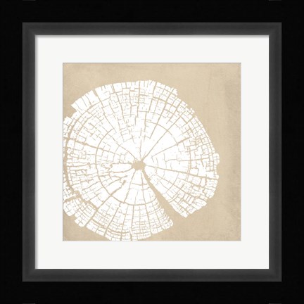 Framed Tree Stump White Reverse Print