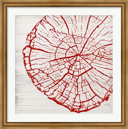 Framed Tree Rings II Print