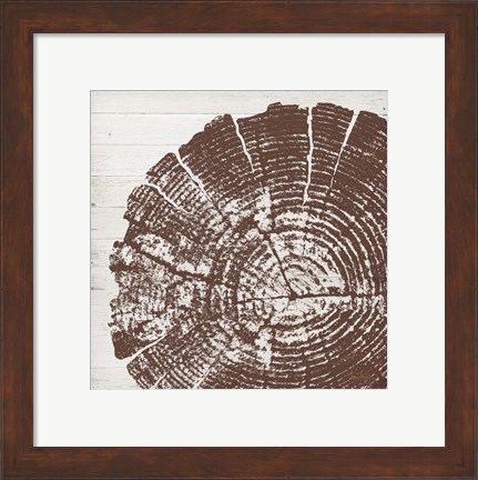 Framed Tree Rings III Print