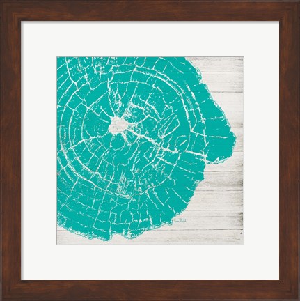 Framed Tree Rings IV Print