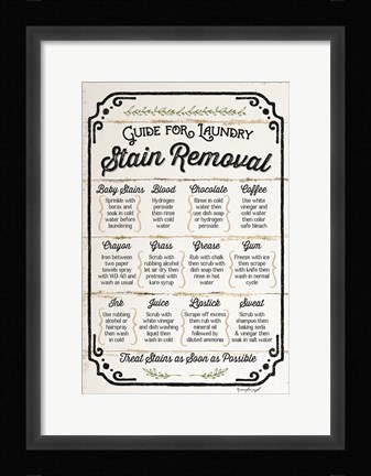 Framed Stain Removal Guide Print