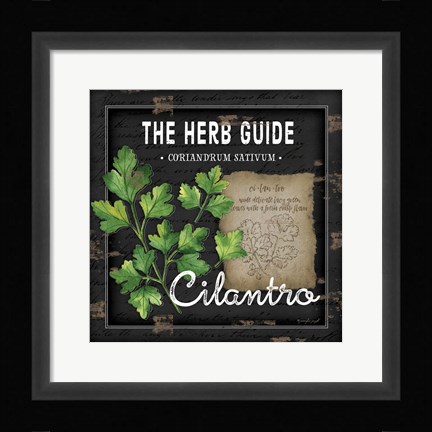 Framed Herb Guide Cilantro Print