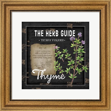 Framed Herb Guide Thyme Print
