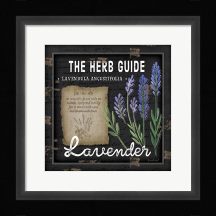 Framed Herb Guide Lavender Print