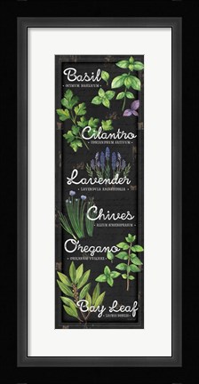 Framed Herbs II Print