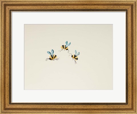 Framed 3 Bees Print