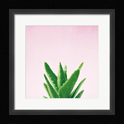 Framed Succulent Simplicity V on Pink Print