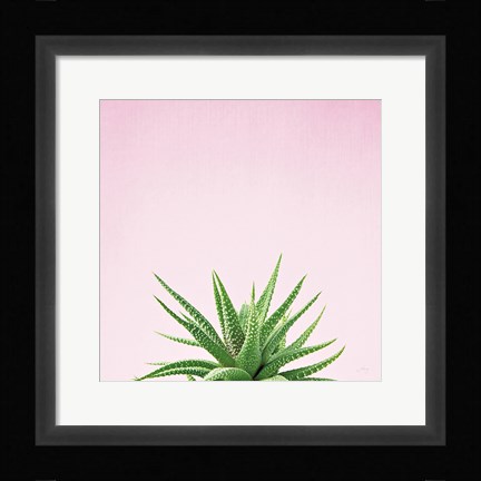 Framed Succulent Simplicity I on Pink Print