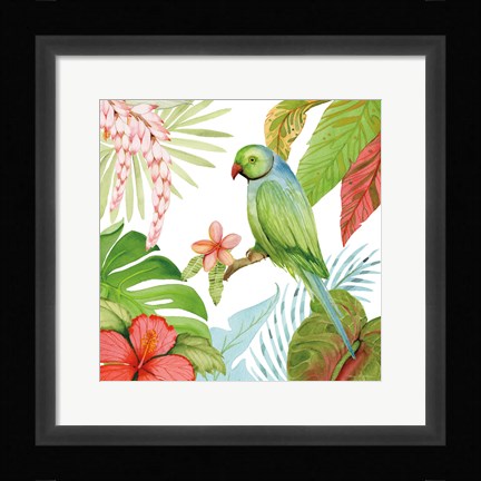 Framed Treasures of the Tropics VII Print