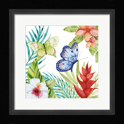Framed Treasures of the Tropics VI Print