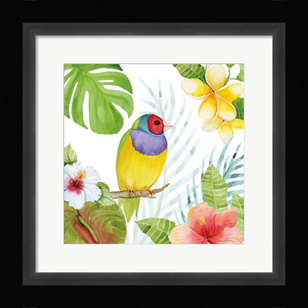 Framed Treasures of the Tropics V Print
