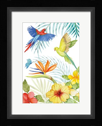 Framed Treasures of the Tropics II Print