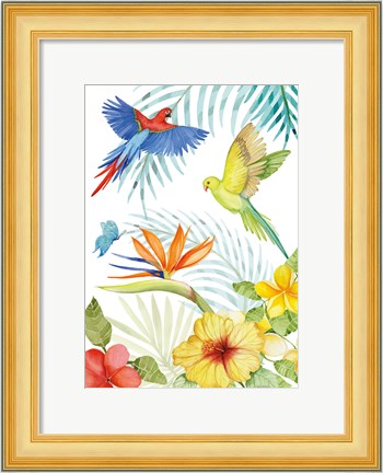 Framed Treasures of the Tropics II Print