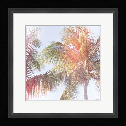 Framed Dream Palm III Print