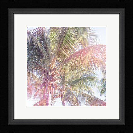 Framed Dream Palm II Print