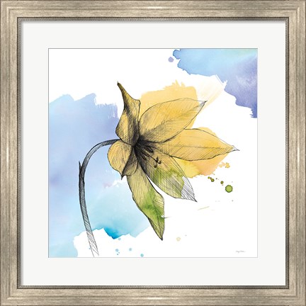 Framed Watercolor Graphite Flower VIII Print