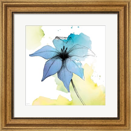 Framed Watercolor Graphite Flower V Print