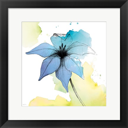 Framed Watercolor Graphite Flower V Print
