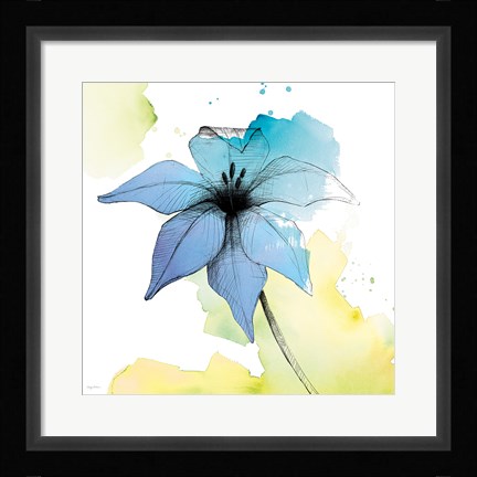 Framed Watercolor Graphite Flower V Print