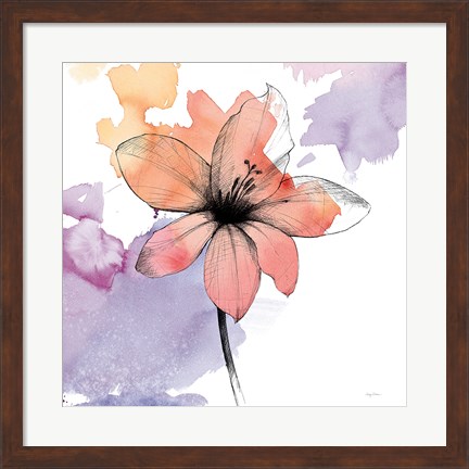 Framed Watercolor Graphite Flower II Print