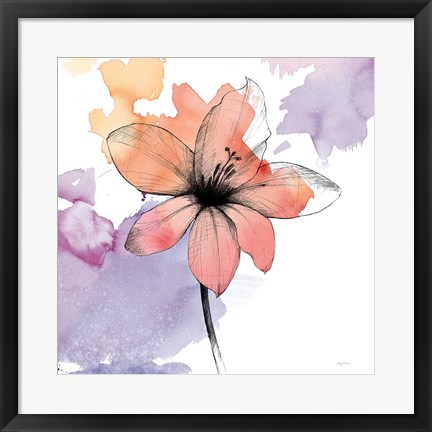 Framed Watercolor Graphite Flower II Print