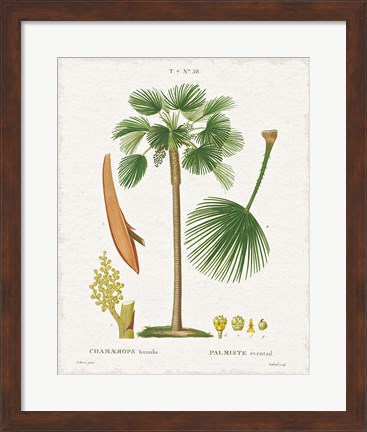 Framed Island Botanicals I Print