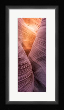 Framed Sinuoso-1 Print