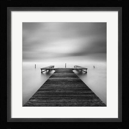 Framed Bipolar Print