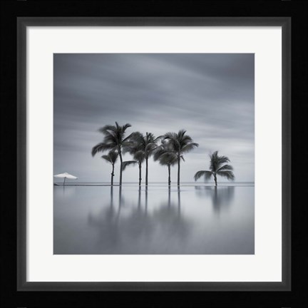 Framed 7 Palmeras Print