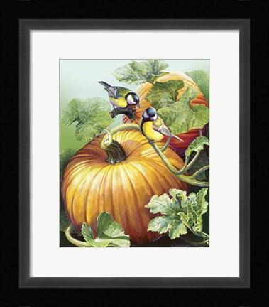 Framed Two Birdies On Pumpkin Print