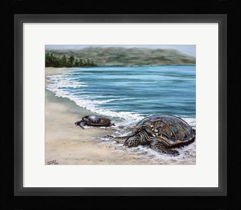 Framed 2 Turtles Print