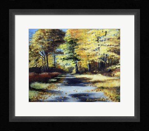 Framed Fall's Path Print