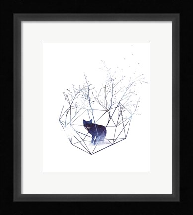 Framed Organic Prison Print