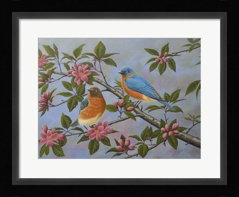 Framed Bluebirds Print