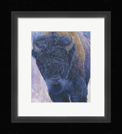Framed Bull Print