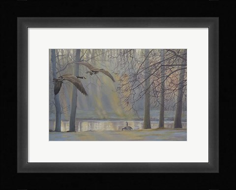 Framed Geese An Pond Print