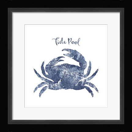 Framed Tide Pool Crab Print