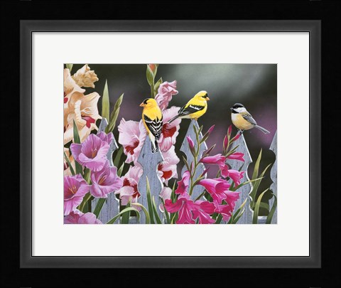 Framed Feathered Friends and Gladiolus Print