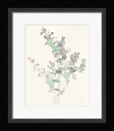 Framed Eucalyptus II Print